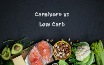 Carnivore Diet vs Low Carb Diet